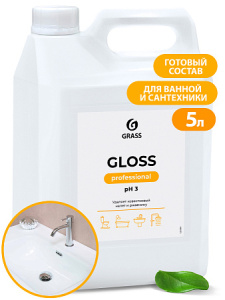 Чистящее средство для сан.узлов "_Gloss Professional"__yy (1)