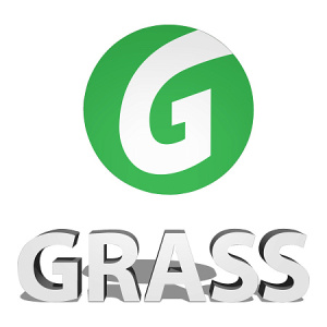 Световой Лого GraSS